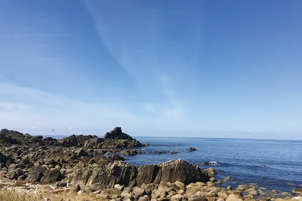 Seasonal Abalone Cuisine