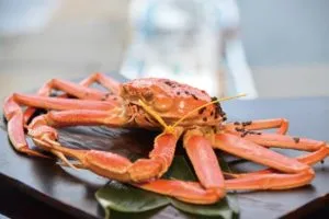 Echizen Crab